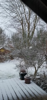 Ferienhaus in Glücksburg - Ferienhaus "Blaue Blume" - Bild 15