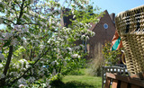 Ferienhaus in Kellenhusen - Altes Zollamt - S&uuml;nnschien - Bild 1