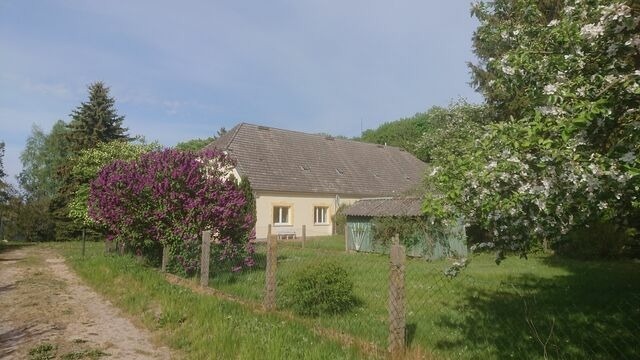 Ferienwohnung in Klein Bünzow - Ferienwohnung am Gutshaus Pamitz - Bild 5