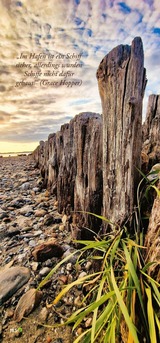 Ferienwohnung in Kiel - Design Appartement Sch&ouml;nfeld - Bild 21