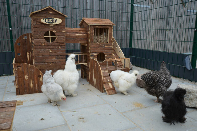 Ferienwohnung in Fehmarn OT Staberdorf - Tenne 3, inkl. 1 Parkplatz - Bild 23