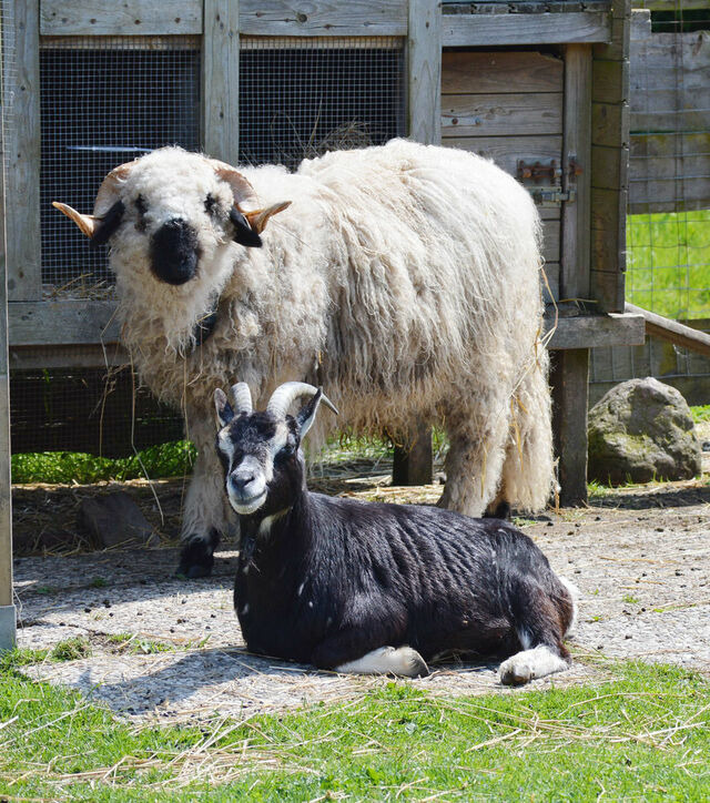 Ferienwohnung in Fehmarn OT Staberdorf - Landhaus 2, inkl. 1 Parkplatz - Bild 11