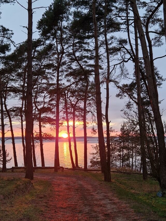 Ferienhaus in L&uuml;tow - Ferienhaus K&ouml;hler Am Achterwasser , Urlaub mit Hund - Bild 24