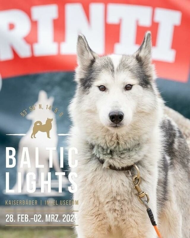 Ferienwohnung in Lütow - Ferienhaus Köhler Am Walde , Urlaub mit Hund - Bild 16