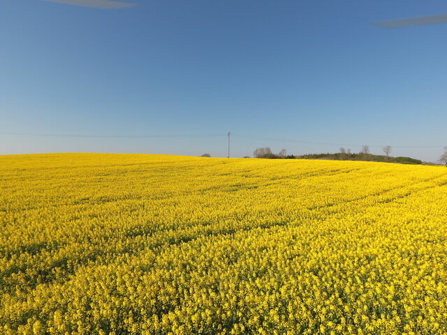 Ferienwohnung in Rabenkirchen-Faulück - Ferienwohnung BEA 2 - Bild 8