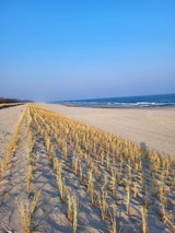 Ferienwohnung in Ostseeheilbad Zingst - Achtern Diek 15a Whg. 1 - Bild 22