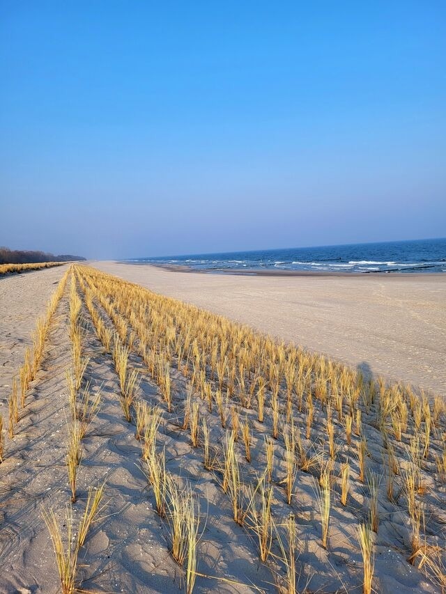 Ferienwohnung in Ostseeheilbad Zingst - Achtern Diek 15a Whg. 1 - Bild 22