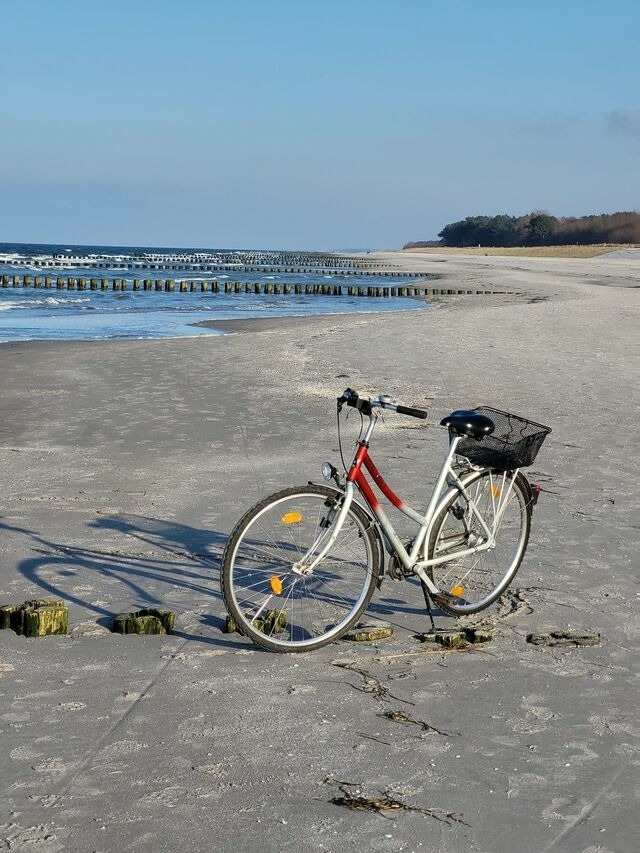 Ferienwohnung in Ostseeheilbad Zingst - Achtern Diek 15a Whg. 1 - Bild 23