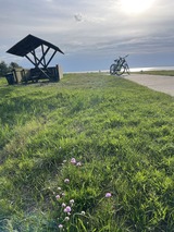 Ferienhaus in Ummanz - Haus am Deich - Bild 18