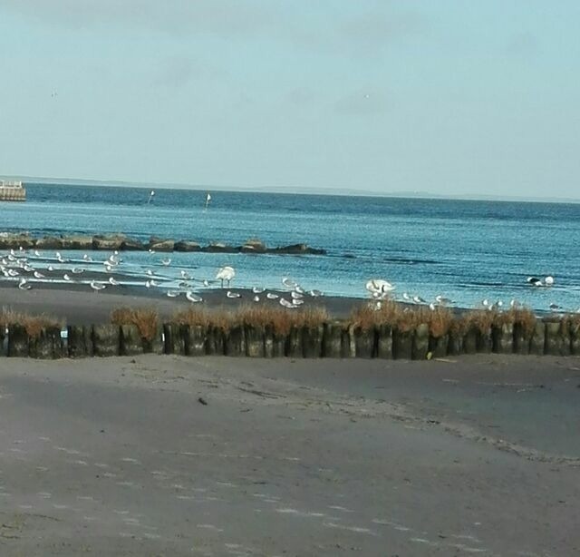 Ferienwohnung in Ueckerm&uuml;nde - Fe'Wo, Strandnah, Ueckerm&uuml;nde3Ps,1Hund,Stettiner Haff, - Bild 14