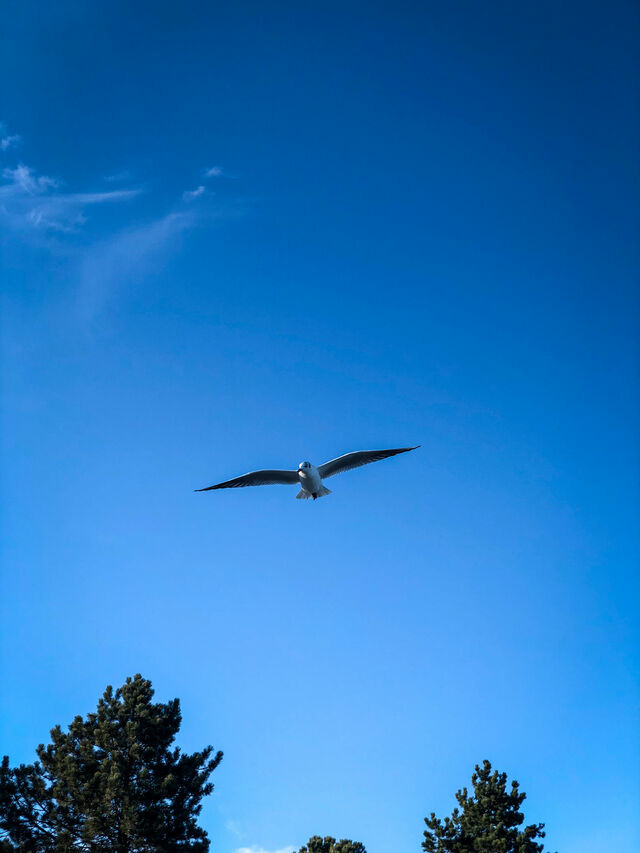 Ferienhaus in Glücksburg - Ferienhaus Seeadler 32 - Bild 23