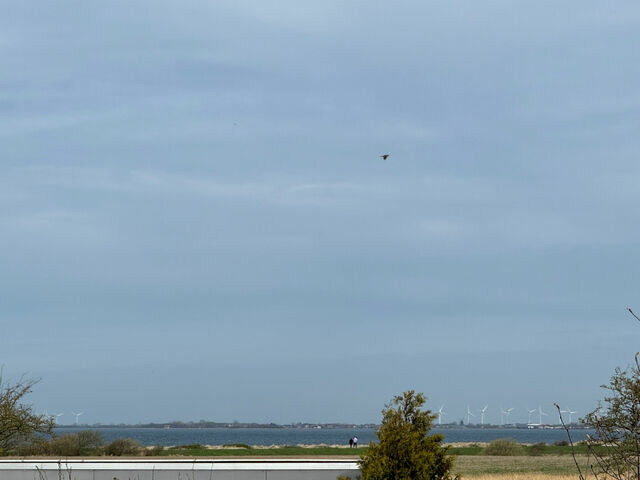 Ferienhaus in Gro&szlig;enbrode - Weststrandhaus - Bild 19