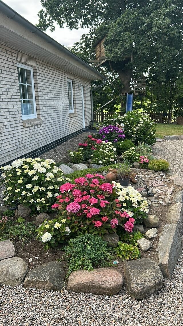 Ferienhaus in Rabenkirchen-Faulück - Ferienhaus Spatz - Bild 18