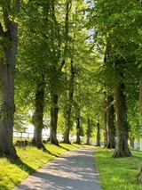 Ferienwohnung in Rieseby - Gut Büchenau - Ferienwohnung Romantika - Bild 16