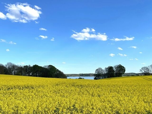 Ferienwohnung in Wagersrott - Zirkuswagen auf dem L&auml;mmerhof - Bild 22