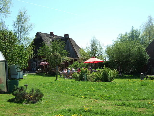 Ferienwohnung in Holzdorf - Ferienwohnung im Skulpturengarten Grünlund - Bild 10