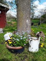 Ferienwohnung in Holzdorf - Ferienwohnung im Skulpturengarten Grünlund - Bild 15