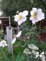 Ferienwohnung in Holzdorf - Ferienwohnung im Skulpturengarten Grünlund - Bild 20