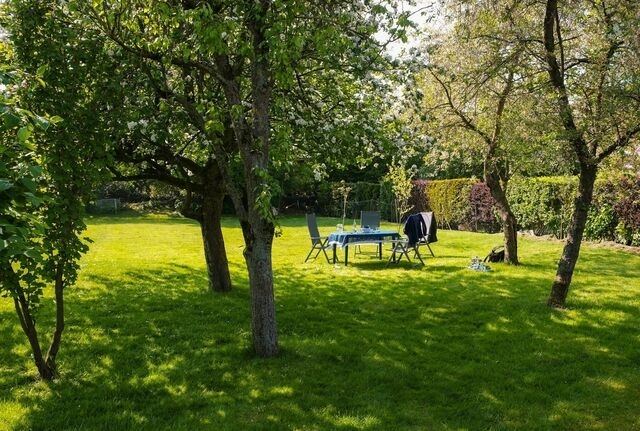 Ferienhaus in Damp - 4-Raum-Ferienhaus "Seeschwalbe" für 6 Personen - Bild 19