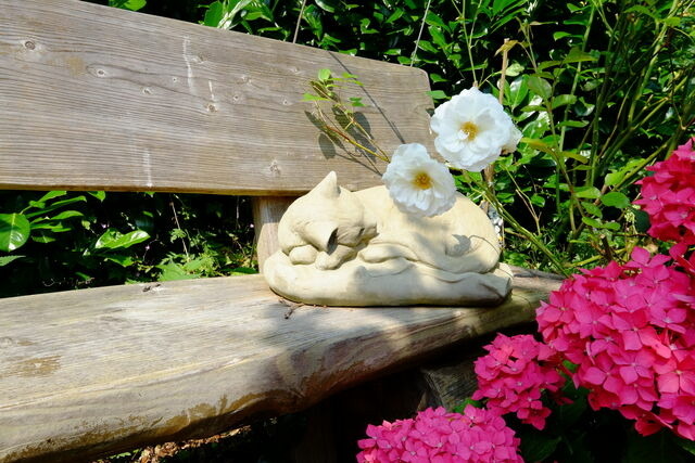 Ferienwohnung in Brodersby - Ferienhof Block - Ferienwohnung 5 - Bild 11