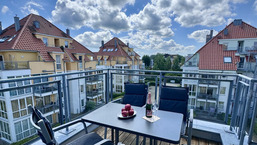 M&ouml;wennest 13 - Gro&szlig;enbrode