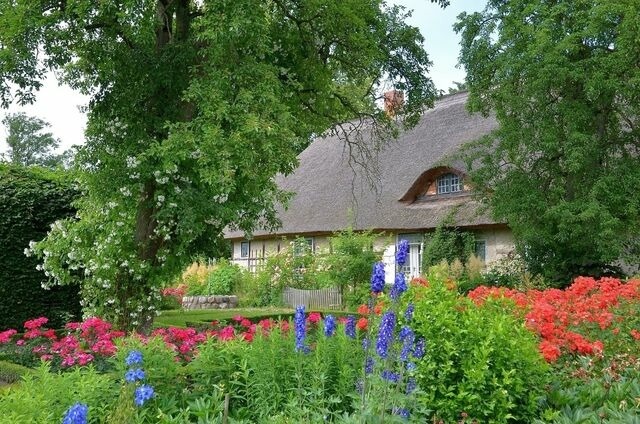 Ferienwohnung in Starkow - Ferienwohnung Rosengarten am Pfarrgarten Starkow - Bild 9