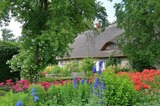 Ferienwohnung in Starkow - Ferienwohnung Irisgarten am Pfarrgarten Starkow - Bild 10