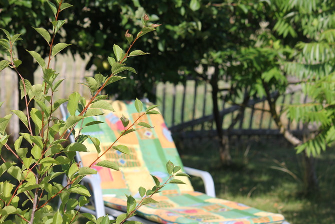 Ferienwohnung in Groß Schwansee - Fewo Seestern - Liegen im Garten unter Obstbäumen