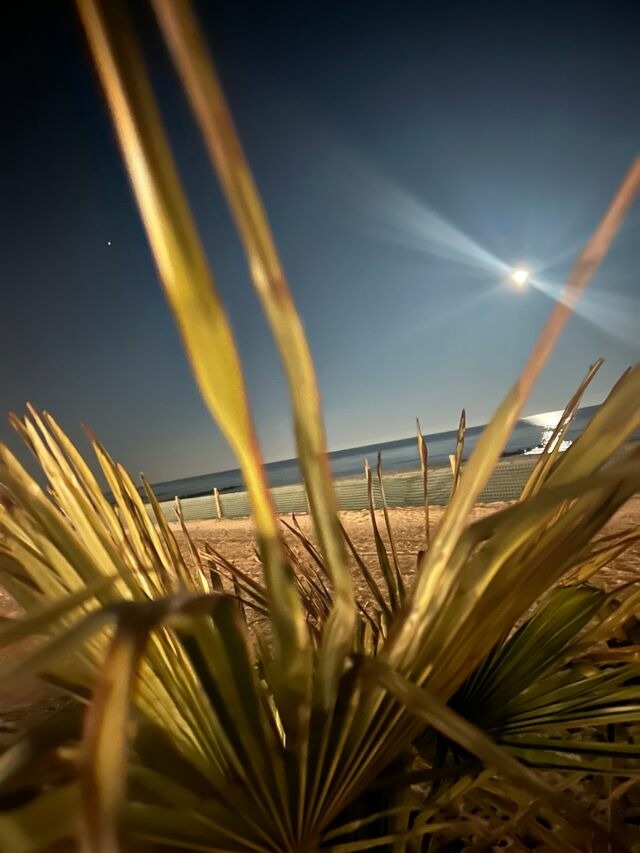 Ferienwohnung in Grömitz - Bretterbutze Meer.Blick.Butze - Bild 25