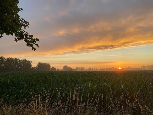 Doppelzimmer in B&ouml;rgerende-Rethwisch - Hus un K&ouml;ken - 3 - Bild 7