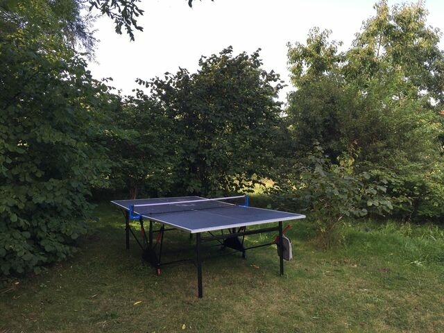 Ferienwohnung in Glowe - Ein Steinwurf zum Ostseestrand: Ferienwohnung Martha mit Terrasse - Bild 20