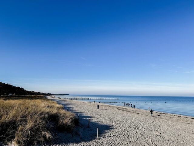 Ferienwohnung in Zingst - Whg. 16 - Sol - Bild 11
