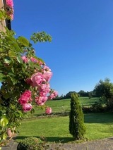 Ferienhaus in Haby - Fertigstellung 1.12.2026 - Bild 10