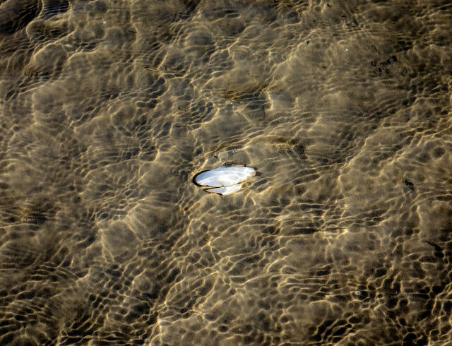 Ferienwohnung in Gl&uuml;cksburg - Ferienwohnung Gl&uuml;cks-Burg "Stern" - Bild 20