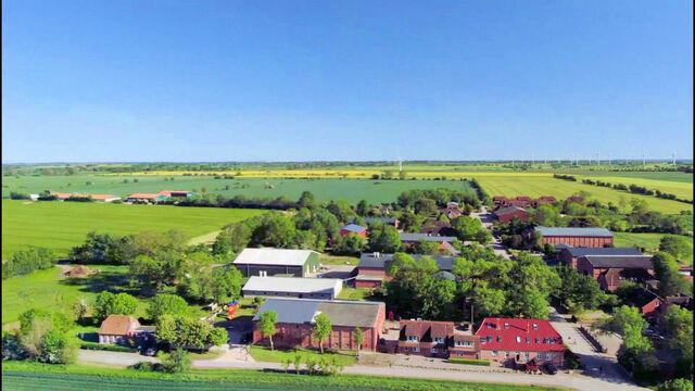 Ferienhaus in Fehmarn - Gänseblümchen - Bild 18