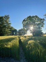 Ferienwohnung in Maasholm - Ferienwohnung mit Ostseeblick #14 - Bild 23