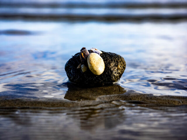 Ferienhaus in Gl&uuml;cksburg - Ferienhaus Ostseek&uuml;ste 16 - Bild 22