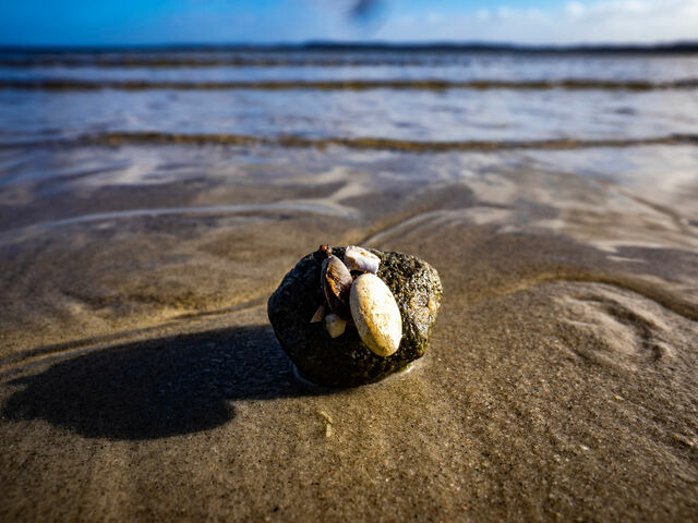 Ferienhaus in Gl&uuml;cksburg - Ferienhaus "Ostseewind 17" - Bild 24
