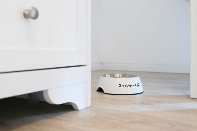 Ferienhaus in S&uuml;ssau - Seepark S&uuml;ssau Ferienhaus Seeliebe 1 - Bild 14