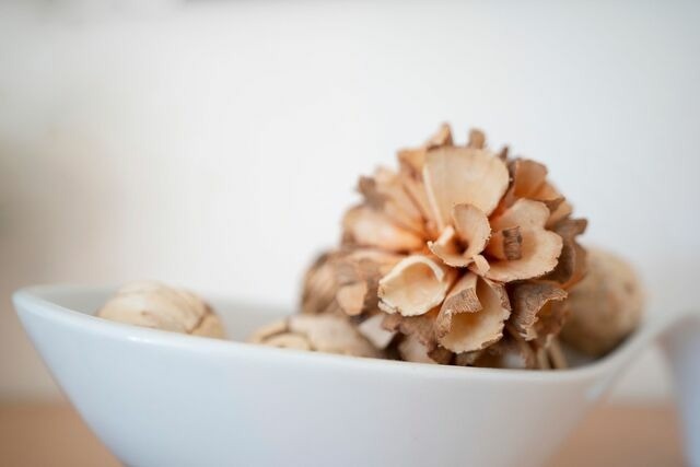 Ferienwohnung in Kellenhusen - Haus Waidmannsruh Waidmannsheil - Bild 18