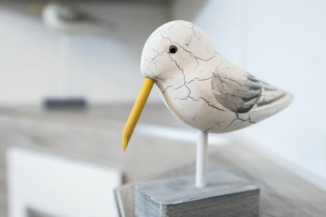 Ferienwohnung in Gr&ouml;mitz - Haus Meeresgru&szlig; Seestern - Bild 13