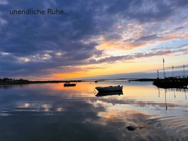 Ferienwohnung in Wendtorf - Küstenschwalbe - Bild 10