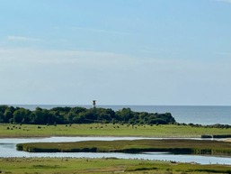 "Traumaussicht" M-7-6