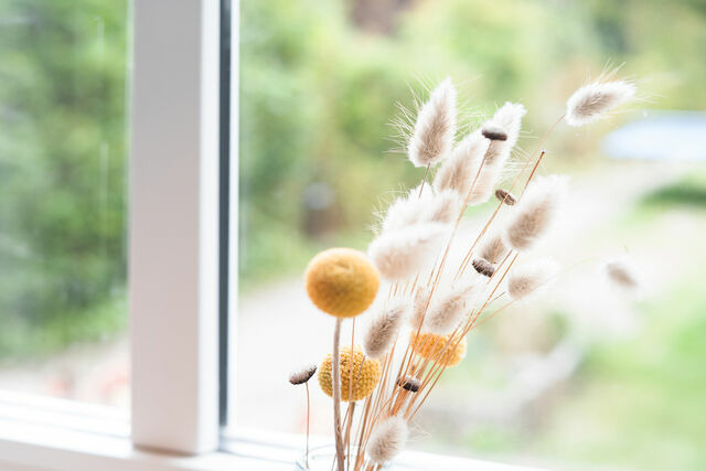 Ferienhaus in Fehmarn OT Westermarkelsdorf - Quartier 29 - Bild 10