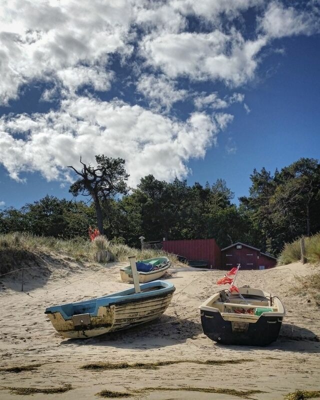 Ferienwohnung in Zempin - Fewo Ostseegl&uuml;ck - Bild 8