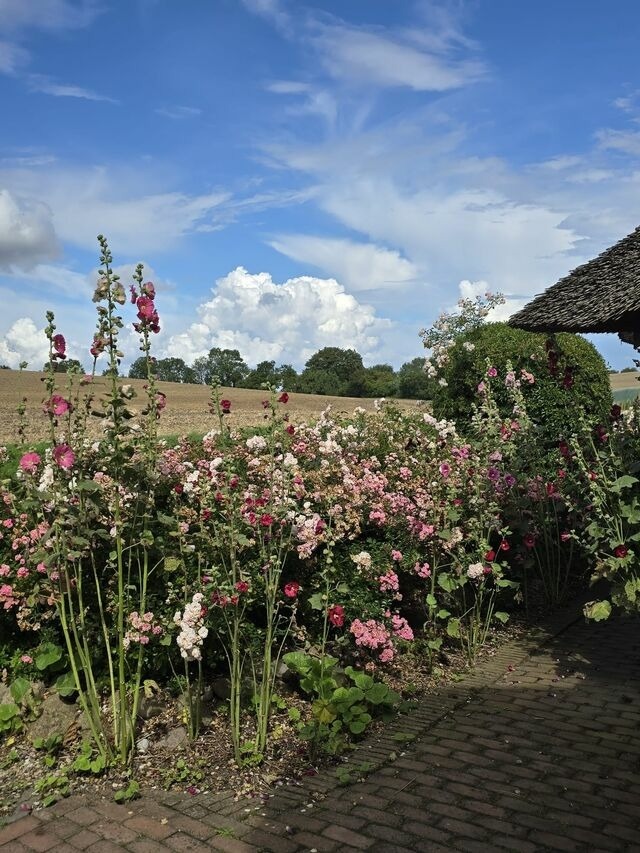 Ferienwohnung in &Ouml;lendorf - Urlaub unterm Reet - Bild 14