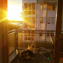 Strandperle 8 - Gro&szlig;enbrode