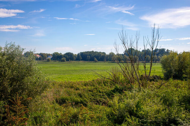 Ferienwohnung in Boltenhagen - Hs. am Weidengrund Whg. 9 - Bild 19