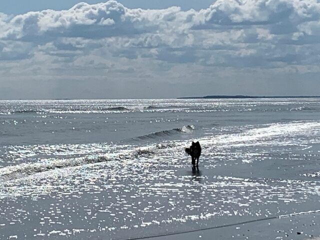 Ferienwohnung in G&ouml;hren - Villa Fernsicht G&ouml;hren Fewo Nr.4 EG - Bild 14