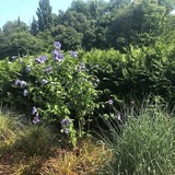 Ferienwohnung in Kellenhusen - Deichblick 1 2-0-04 - Bild 15